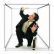 Equilibrio entre vivir y trabajar